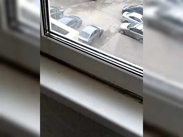 Freechat doktorgirl on BongaCams