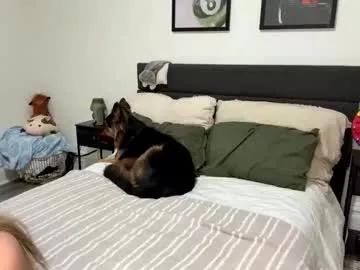 Freechat scarletterose_504259 on Chaturbate