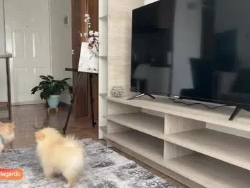 Freechat sweet_littleee on Chaturbate